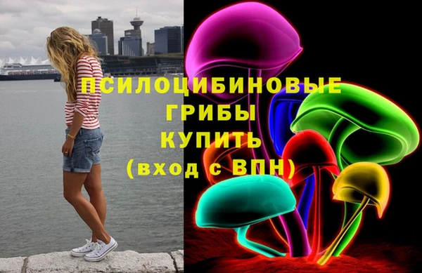 эйфоретик Аркадак