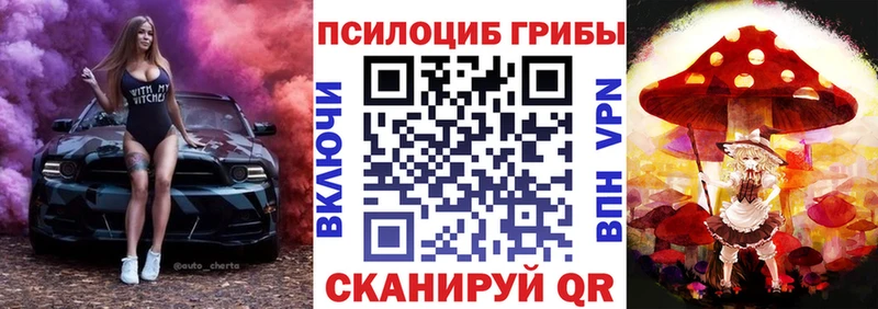 Псилоцибиновые грибы прущие грибы  Боготол 